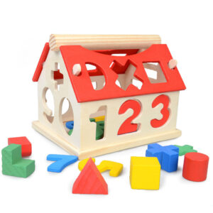 Wooden Geometric  Shapes Montessori  Puzzle Sorting Math