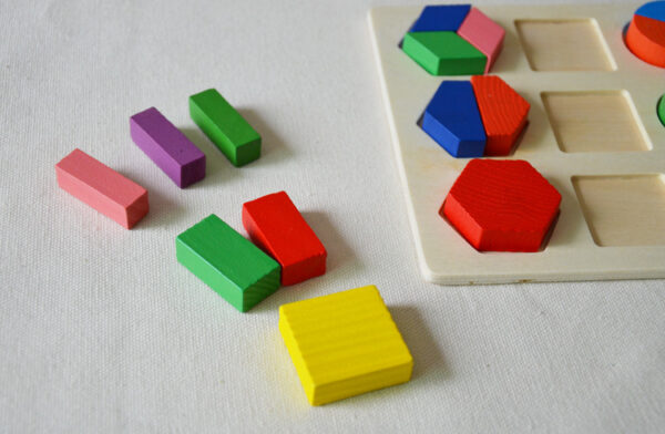 WOODEN BOARD WITH FACTIONS