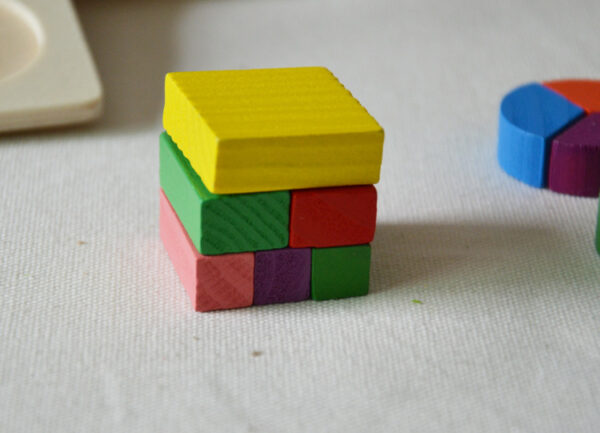 WOODEN BOARD WITH FACTIONS