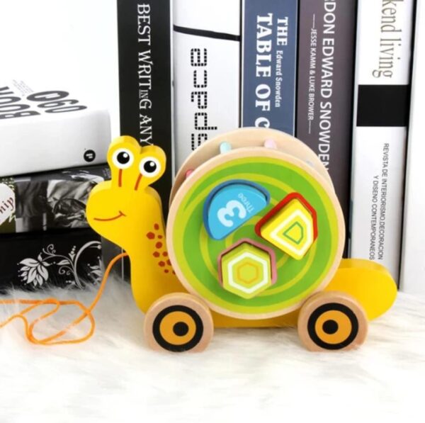 WOODEN PULL ALONG TOY WITH SHAPES